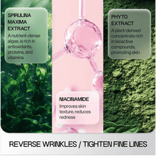 Skinbiotics Spirulina Detox (B2B)