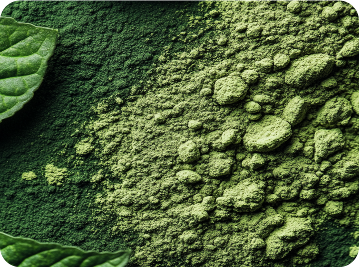 Phyto Extract